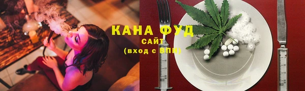 стаф Арсеньев
