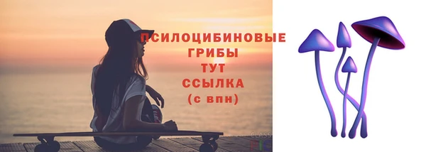 спайс Аркадак